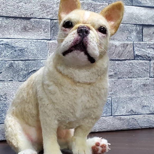 羊毛フェルトオーダーメイド、受注制作、羊毛フェルト犬、ペットロス、うちの子、リアル羊毛フェルト 