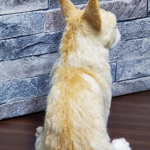 羊毛フェルトオーダーメイド、受注制作、羊毛フェルト犬、ペットロス、うちの子、リアル羊毛フェルト 