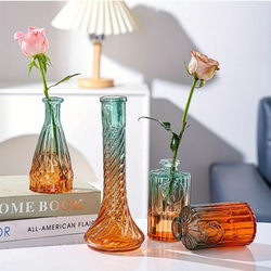 5セットのヨーロッパ製ガラス製花瓶 モダンでシンプルな花瓶 水耕栽培用の花瓶 a-502 6枚目の画像