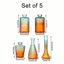 5セットのヨーロッパ製ガラス製花瓶 モダンでシンプルな花瓶 水耕栽培用の花瓶 a-502 3枚目の画像