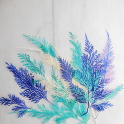 ブルー系　ダバリアリーフ　押し花素材 6枚目の画像