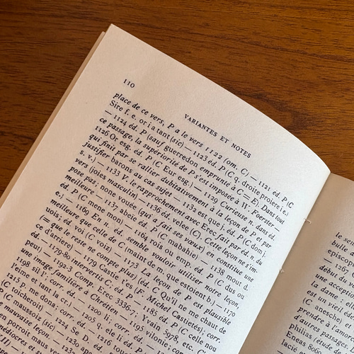 フランスの古書 France レトロ 装飾品 古道具 蚤の市
