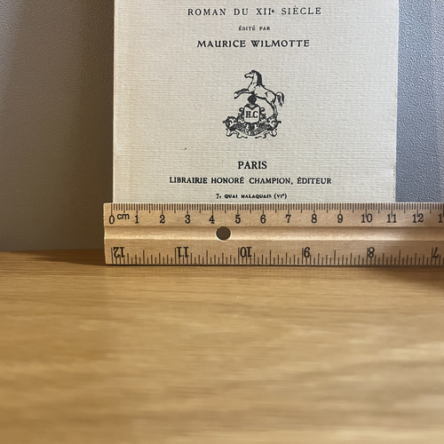 フランス語 古い 洋書 古書 原書 ブロカント ヴィンテージ