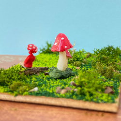 きのこ　きのこびと　赤　ミニチュア　フィギュア　苔テラリウム　ガーデンピック 4枚目の画像