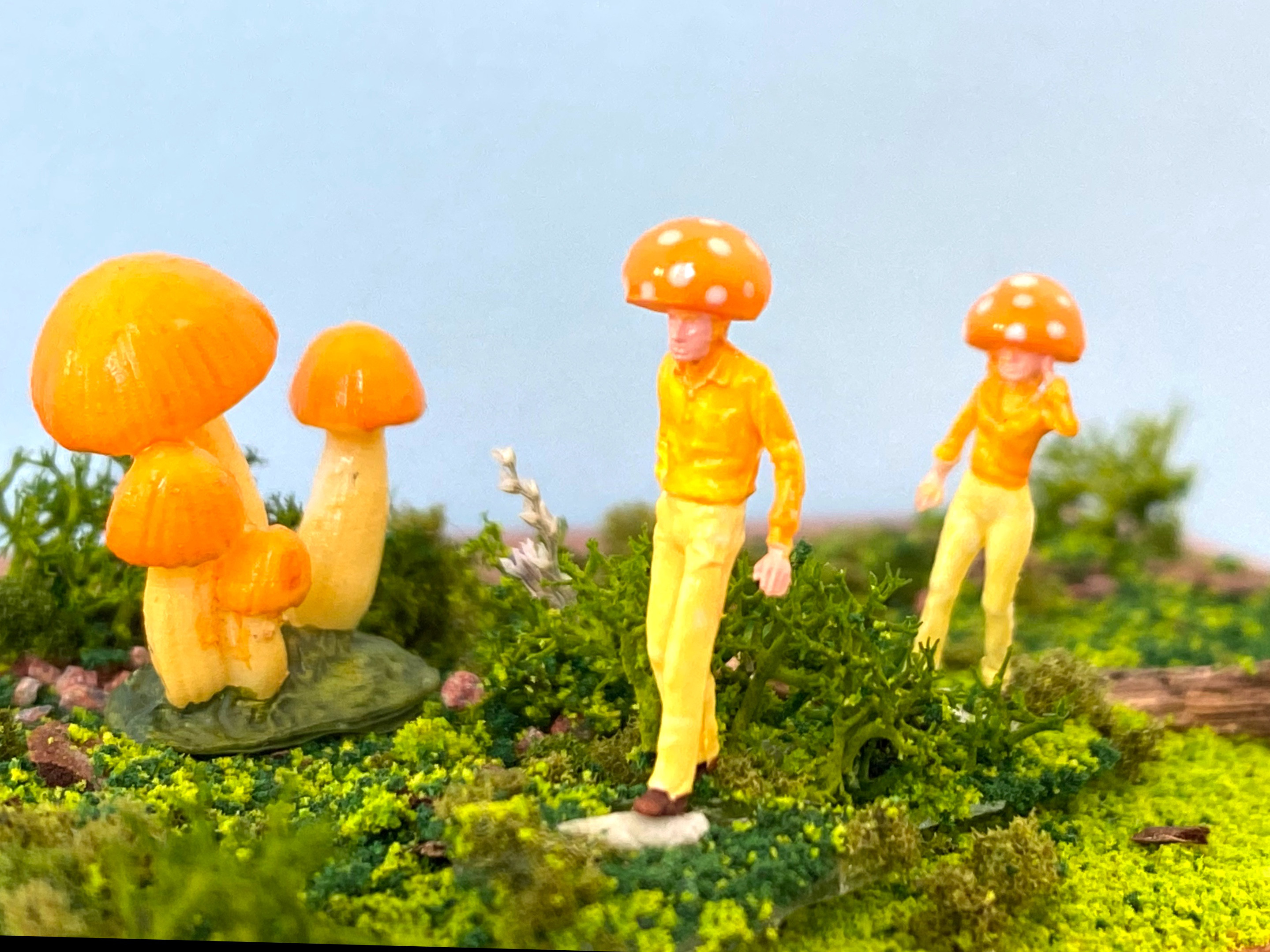 破格！ ① キノコピック ガーデンピック 観葉植物 寒かっ きのこ