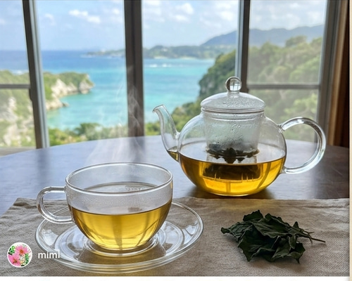 血糖値・腸活・美肌に】沖縄原産ニトベギク茶(菊芋茶)60g 無農薬