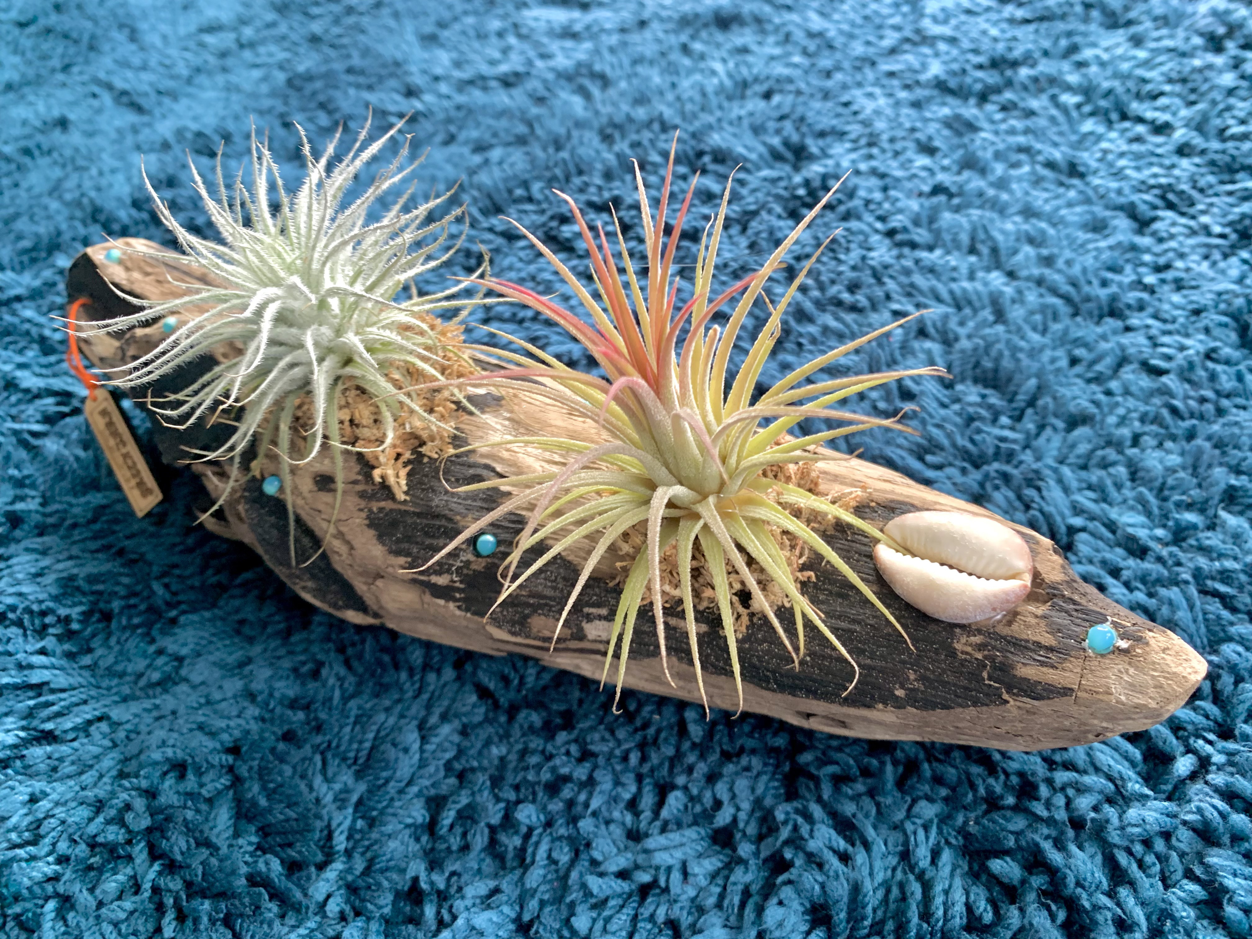 流木　加工　アート