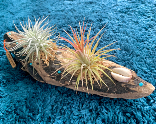 46fd565d6b84d37e026b552302af42