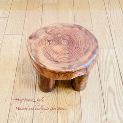 流木インテリア 丸太を使った小型の流木スツール 一点物 フラワースタンド 椅子 ベンチ 木製 北欧 N10 5枚目の画像
