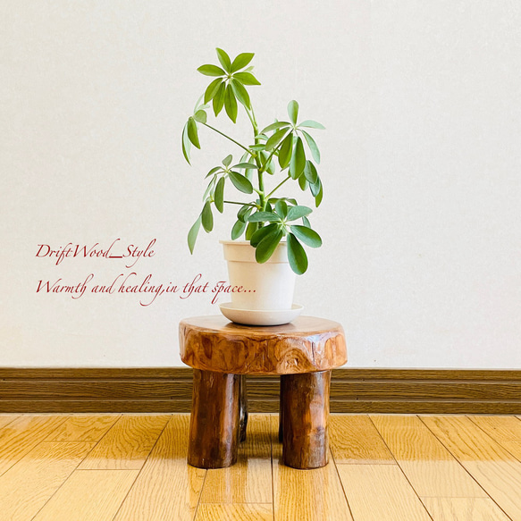 流木インテリア 丸太を使った小型の流木スツール 一点物 フラワースタンド 椅子 ベンチ 木製 北欧 N10 1枚目の画像