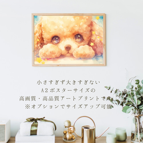 The Starry Dog（星降る犬） - トイプードルの子犬 No.1】星
