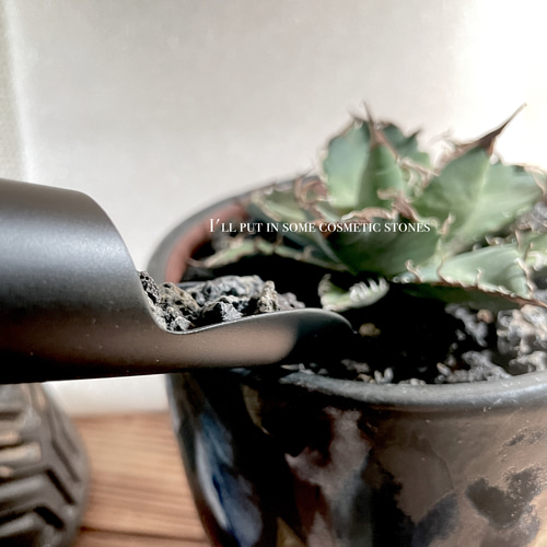 植物植替えスコップ G.shovel 植物棚 グラキリス パキプス 塊根 植物植替えスコップ G.shovel 植物棚 グラキリス パキプス 塊根