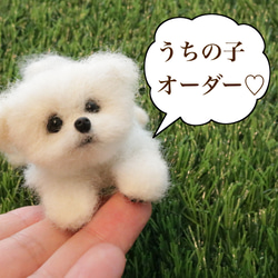 羊毛クリップペット　ポメラニアン　ホワイト　うちの子オーダー　ペット　犬 967fa62be6c53d8a40a6c1b0c5a5b6