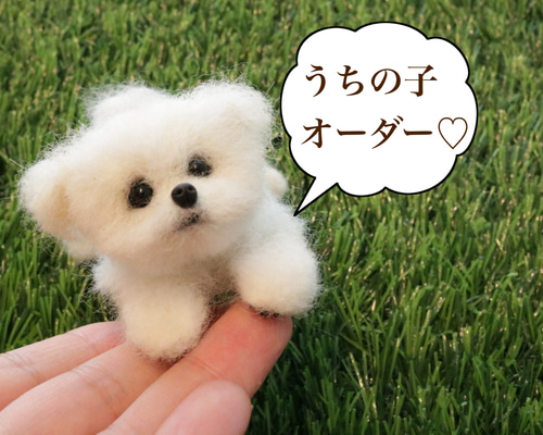 967fa62be6c53d8a40a6c1b0c5a5b6