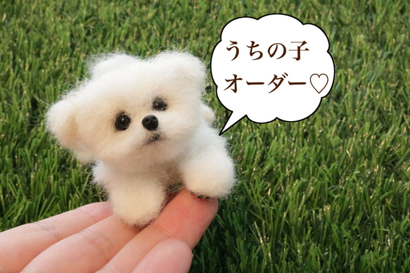 受注生産∗ 羊毛フェルト∗うちの子オーダー∗犬∗プレゼント∗マルポメ∗ポメラニアン∗マルチーズ∗トイプードル　mix犬 1枚目の画像