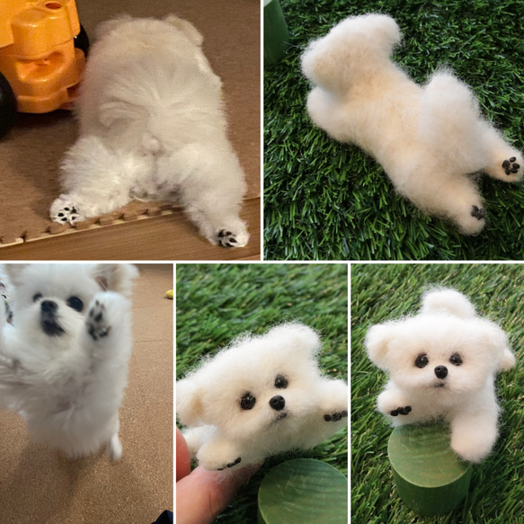 受注生産∗ 羊毛フェルト∗うちの子オーダー∗犬∗プレゼント∗マルポメ∗ポメラニアン∗マルチーズ∗トイプードル　mix犬 9枚目の画像