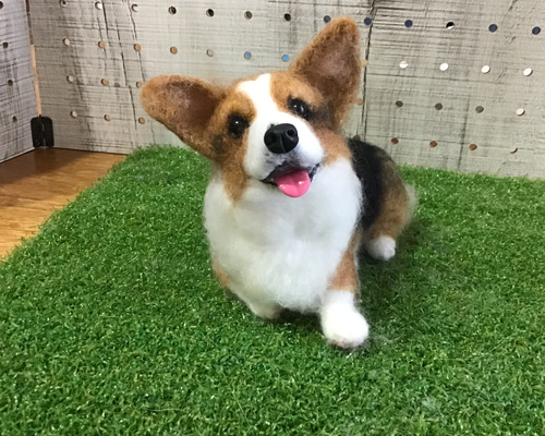 コーギー犬（萌愛） 羊毛フェルト コーギー大好きママ 通販