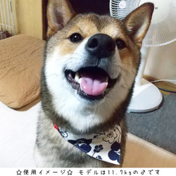 中型犬用バンダナ/富士山③ n-0144シリーズ 6枚目の画像