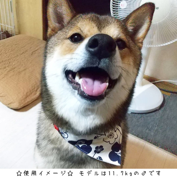 中型犬用バンダナ/富士山③ n-0144シリーズ 6枚目の画像