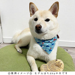 中型犬用バンダナ/富士山③ n-0144シリーズ 4枚目の画像