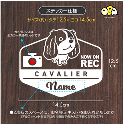 柴犬A【NOW ON REC】名入れステッカー／エンブレムデザイン 全8色 カッティングステッカー 3枚目の画像