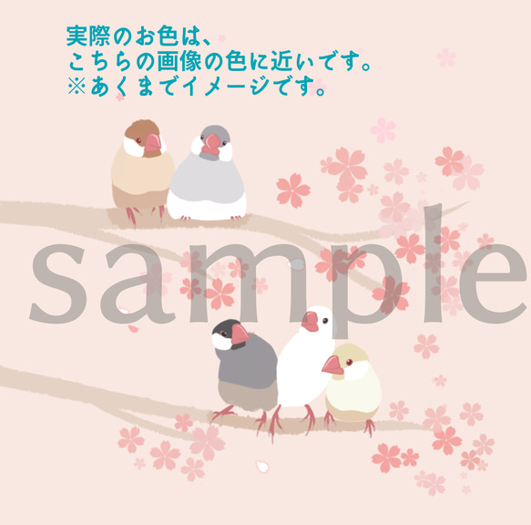 名入れ可！文鳥さんのタオル(桜) 4枚目の画像