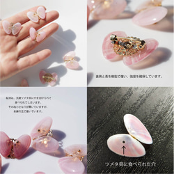 桜貝による蝶のブローチ　～胡蝶の夢 6枚目の画像