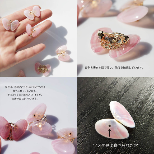 櫻花殼製成的蝴蝶胸針 ~蝴蝶之夢 第6張的照片