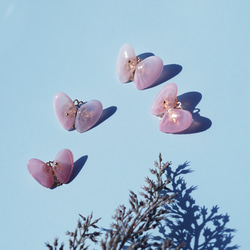 桜貝による蝶のブローチ　～胡蝶の夢 7枚目の画像
