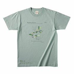 レモンティー (レモンTシャツ) Tシャツ めりー 通販 1566543｜Creema