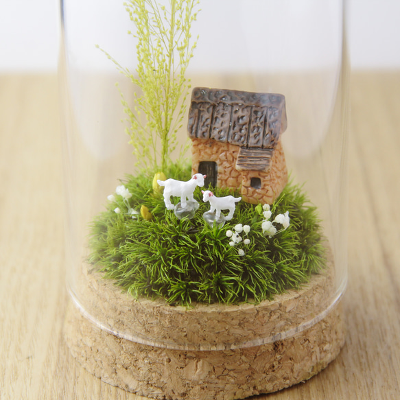 ヤギ親子_草原の家 [S /60φ] 1枚目の画像