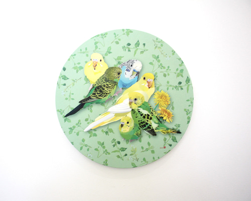円形パネル作品「セキセイインコとひよこ草」【30cm】 写真