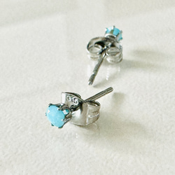 アマゾナイト 〜天の河の石〜 のプチスタッドピアス　サージカルステンレス316L 5枚目の画像