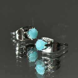 アマゾナイト 〜天の河の石〜 のプチスタッドピアス　サージカルステンレス316L 7枚目の画像