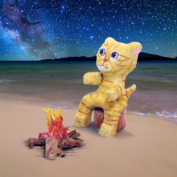 焚き火猫　チャトラ