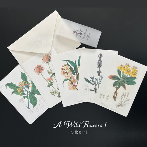 アンティークなボタニカルアートカード5枚セット ポストカード Luteru