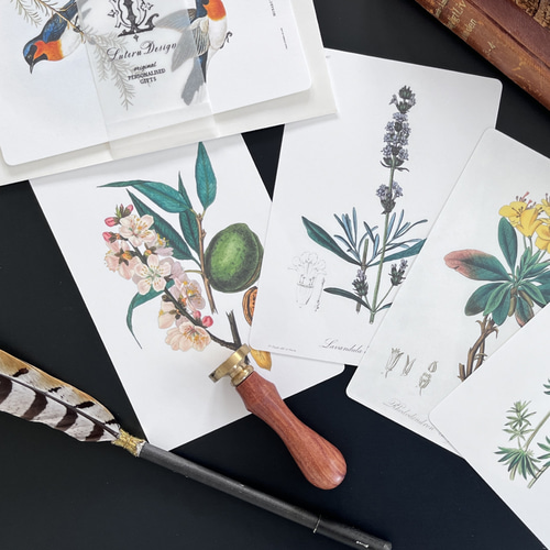 アンティークなボタニカルアートカード5枚セット ポストカード Luteru