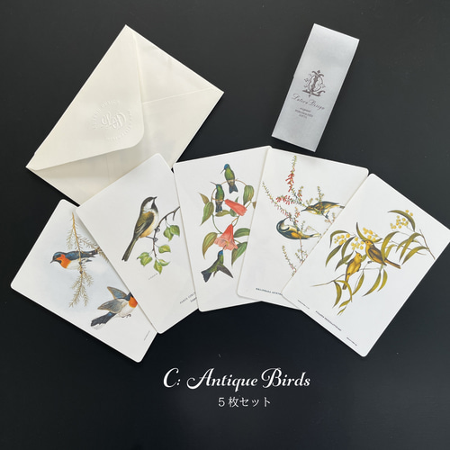 アンティークなボタニカルアートカード5枚セット ポストカード Luteru