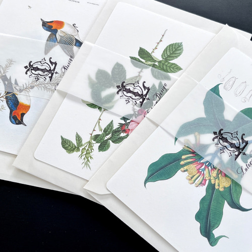 アンティークなボタニカルアートカード5枚セット ポストカード Luteru