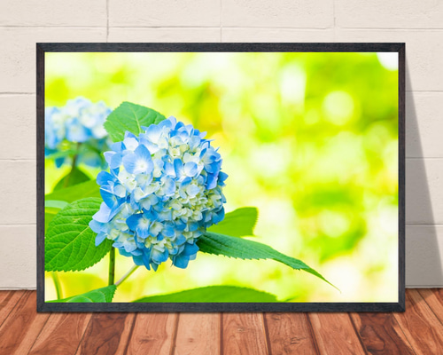 ＊三日月ともこもこ紫陽花＊シーグラスアート 梅雨 三日月ともこもこ紫陽花＊シーグラスアート 梅雨