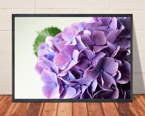 パステル画　『陽光に輝く紫陽花』(A4サイズ)(額無) hq720.jpg?sqp=-