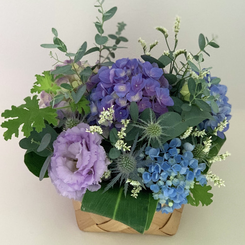 【人気商品！】 紫陽花のフラワーアレンジメント 誕生花 誕生 生花 ブルーのお花 スタンド花