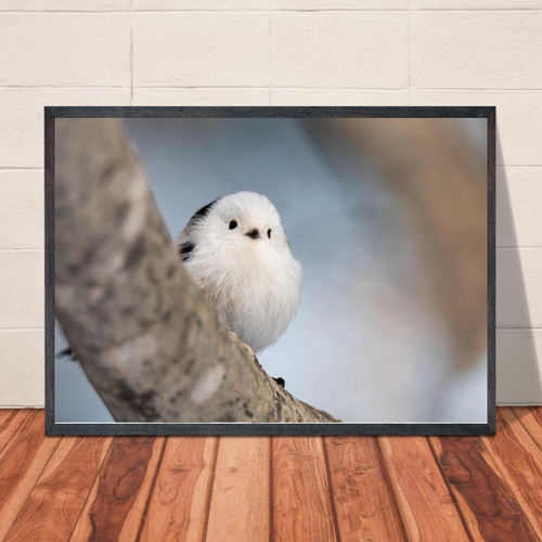 送料無料】A3・A4ポスター【冬のシマエナガ】小鳥 かわいい イラスト