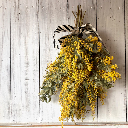 ミモザのバイアスストライプリボンスワッグ ドライフラワー スワッグ  