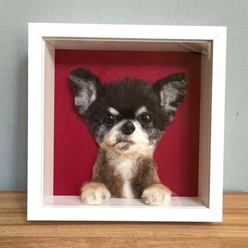 箱入り娘・息子✳︎ 羊毛 わんちゃん 羊毛フェルト CHIKAMOCO