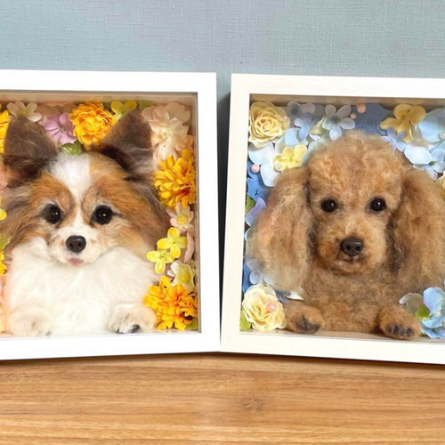 箱入り娘・息子✳︎ 羊毛 わんちゃん 羊毛フェルト CHIKAMOCO