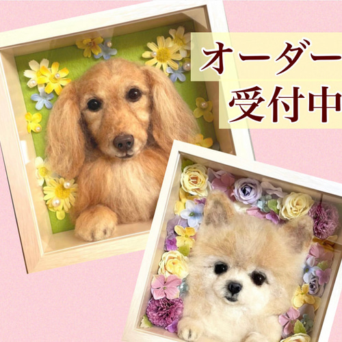 箱入り娘・息子✳︎ 羊毛 わんちゃん 羊毛フェルト