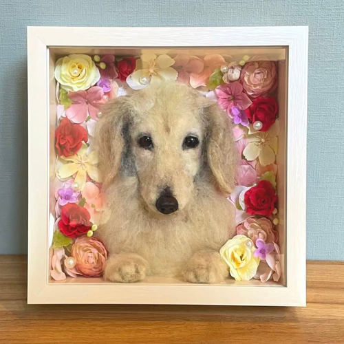 【まこペコ】 羊毛フェルト まこペコ様専用 羊毛フェルト