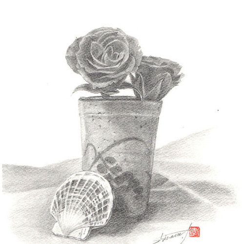 ワールド オンラインストア 鉛筆アート「薔薇と2枚貝と湯呑」手描き原画、1点物。送料無料 絵画