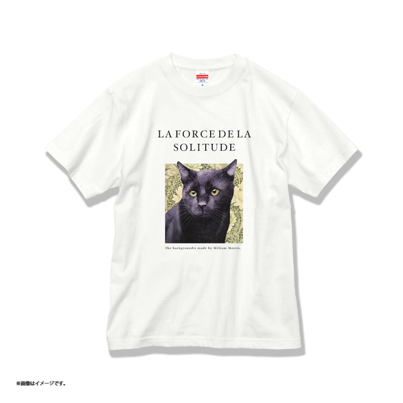 「Black cat」コットンTシャツ/送料無料 3枚目の画像